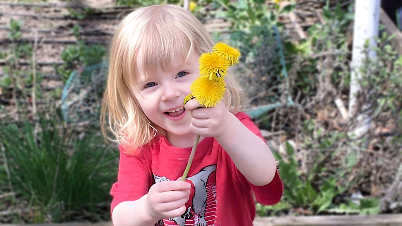 Child holding dandelions in a family child care program
